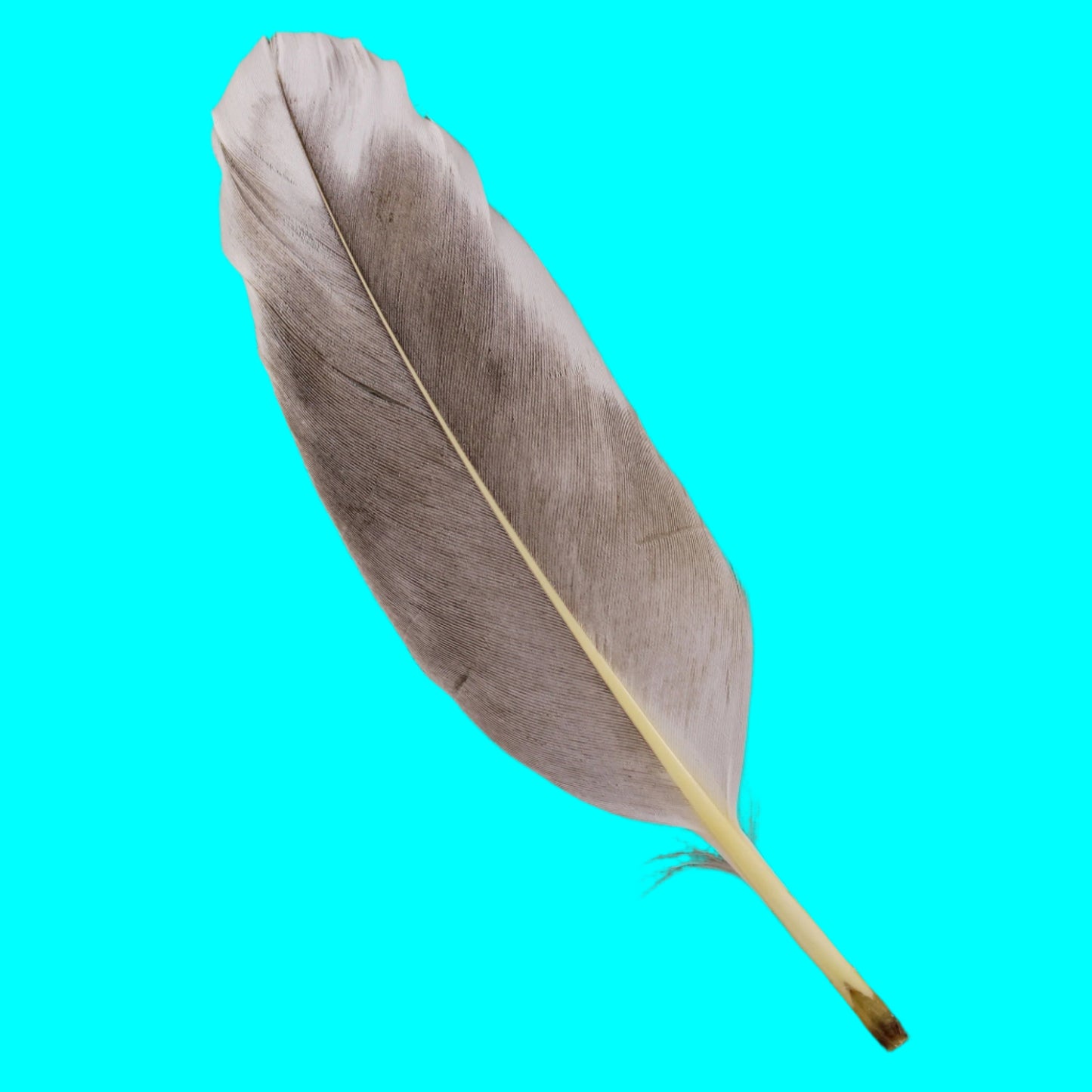 House Blessing/Space Clearing Kit In A Hangable Bag
