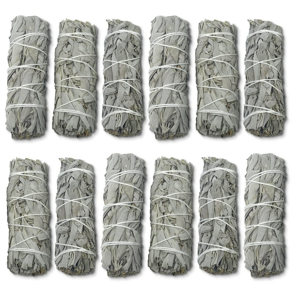 White Sage 3-4" 12-pack
