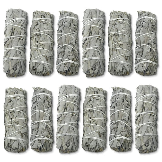 White Sage 3-4" 12-pack