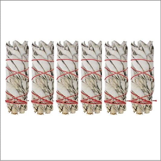 White Sage Smudge Stick 3-4" 6-pack
