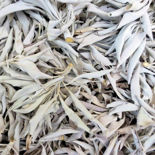 White Sage 1 oz